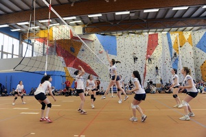 Championnat de France des IUT