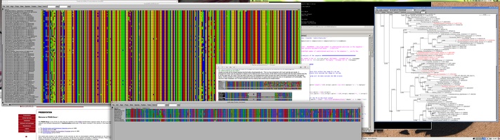 Panoramique Bio Informatique, écran