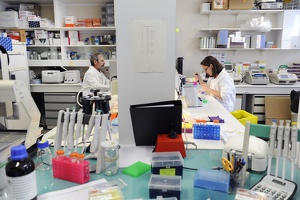 Plateforme dtamb Lyon1