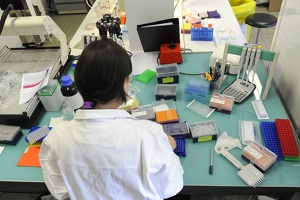 Plateforme dtamb Lyon1