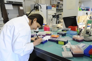 Plateforme dtamb Lyon1