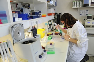 Plateforme dtamb Lyon1