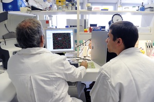 Plateforme dtamb Lyon1