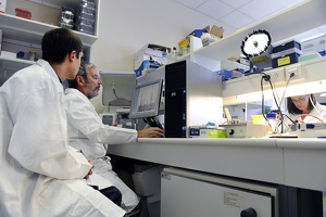 Plateforme dtamb Lyon1