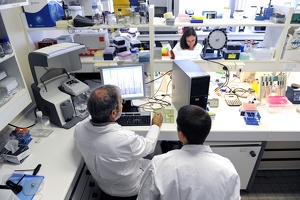 Plateforme dtamb Lyon1