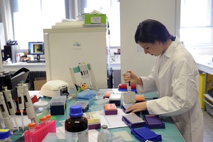 Plateforme dtamb Lyon1