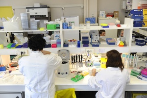 Plateforme dtamb Lyon1