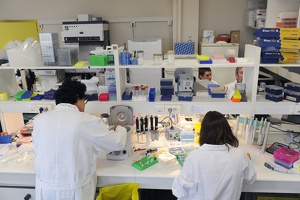 Plateforme dtamb Lyon1