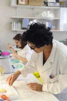 Plateforme dtamb Lyon1