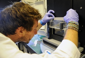 Plateforme dtamb Lyon1