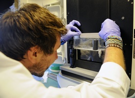 Plateforme dtamb Lyon1
