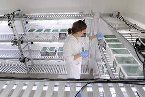 Plateforme écoaquatron de Lyon1