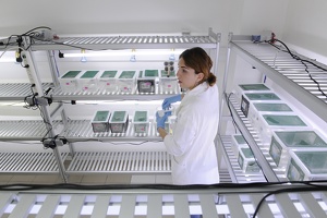 Plateforme écoaquatron de Lyon1