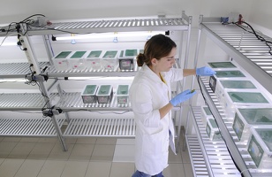 Plateforme écoaquatron de Lyon1