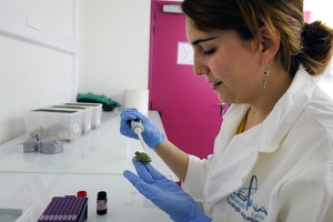 Plateforme écoaquatron de Lyon1