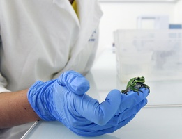 Plateforme écoaquatron de Lyon1