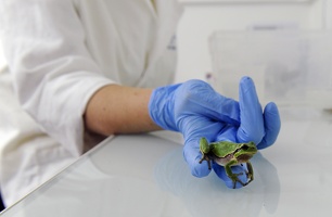 Plateforme écoaquatron de Lyon1
