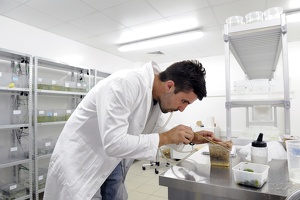 Plateforme écoaquatron de Lyon1