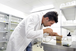 Plateforme écoaquatron de Lyon1
