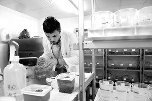 Plateforme écoaquatron de Lyon1