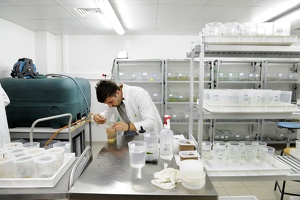 Plateforme écoaquatron de Lyon1