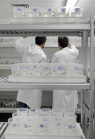Plateforme écoaquatron de Lyon1