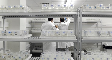 Plateforme écoaquatron de Lyon1
