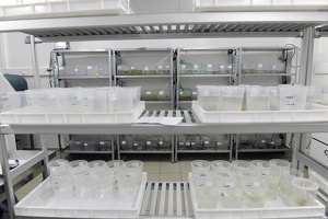 Plateforme écoaquatron de Lyon1