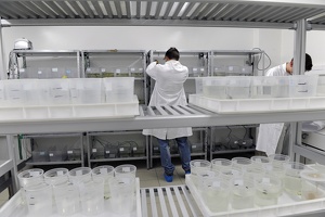 Plateforme écoaquatron de Lyon1