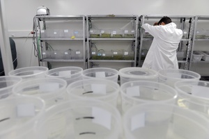 Plateforme écoaquatron de Lyon1
