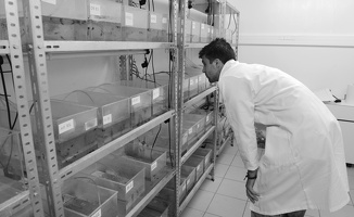 Plateforme écoaquatron de Lyon1