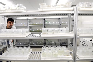 Plateforme écoaquatron de Lyon1
