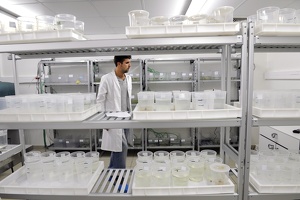 Plateforme écoaquatron de Lyon1