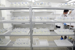 Plateforme écoaquatron de Lyon1