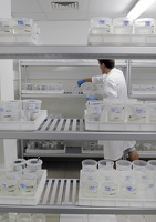 Plateforme écoaquatron de Lyon1
