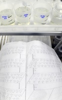 Plateforme écoaquatron de Lyon1