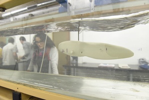 Plateforme d'hydrodynamique de Lyon1