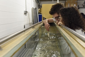 Plateforme d'hydrodynamique de Lyon1