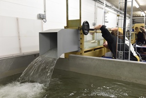 Plateforme d'hydrodynamique de Lyon1
