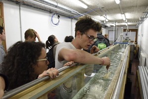 Plateforme d'hydrodynamique de Lyon1