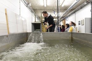 Plateforme d'hydrodynamique de Lyon1