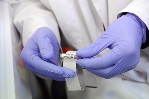Plateforme Neuro Bio tech Lyon1