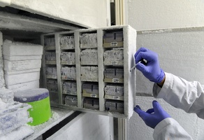 Plateforme Neuro Bio tech Lyon1