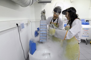 Plateforme Neuro Bio tech Lyon1