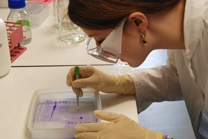 Biologie
