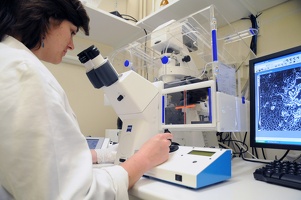 LIA Nanotechnologie