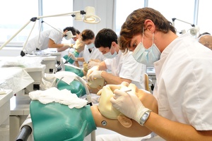 Odontologie 06