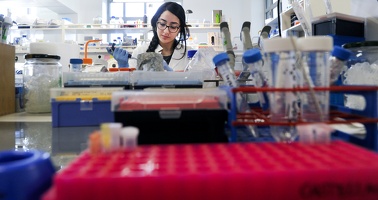 Laboratoire de l'Institut NeuroMyoGène