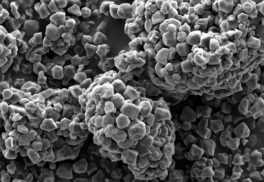 Macro et détails en recherche