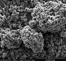 Image Microscopie Gluten